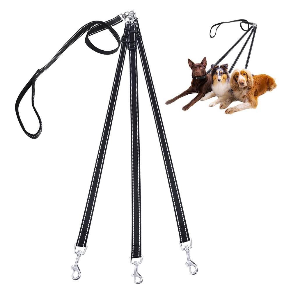 Outdoor Camping Carpet - Laisse pour chien en nylon 3